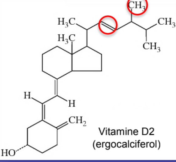 Structure of Vitamin D2
