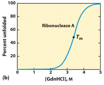 Denaturing Ribonuclease A via Guanidium Chloride