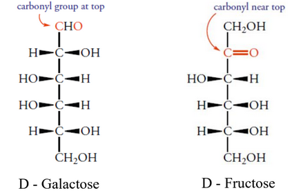 Open Chain Representation of Glucose and Fructose