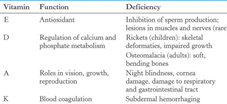 Functions of Fat-Soluble Vitamins