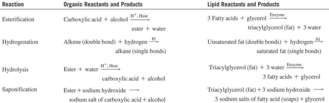 Summary of Fatty Acid Reactions