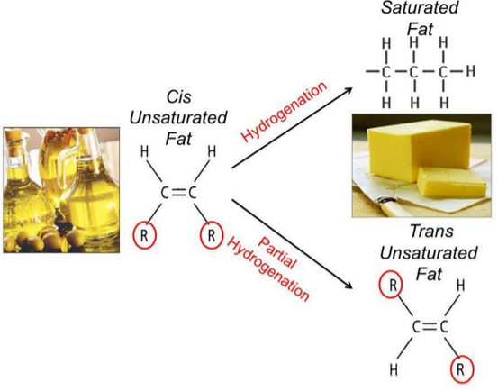 Hydrogenation of an Unsaturated Fatty Acid
