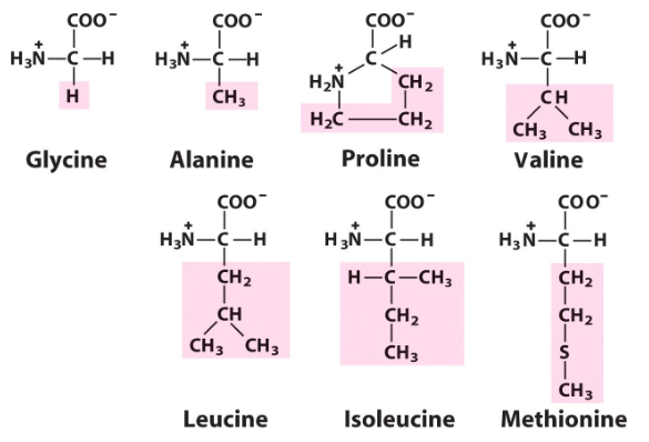 Nonpolar, Aliphatic Amino Acids