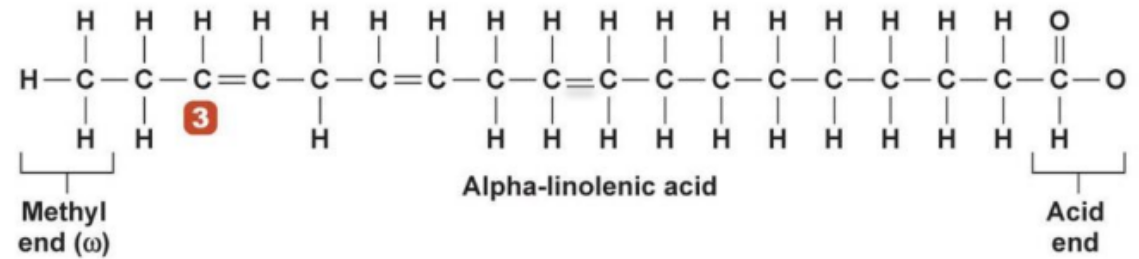 Stuructural Formula of Omega-3 Fatty Acid