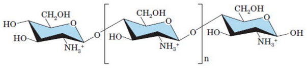 Structure of Cellulose