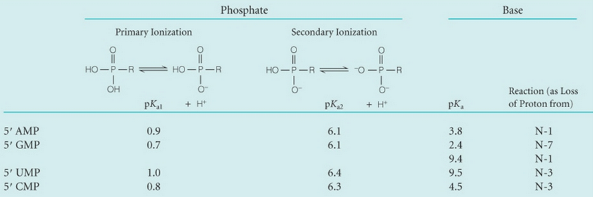 pH of Amino Acids