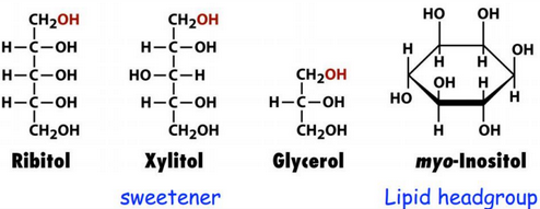 Ribitol and Other Sugar Alcohols