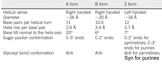 Comparisons Between Different Types of DNA