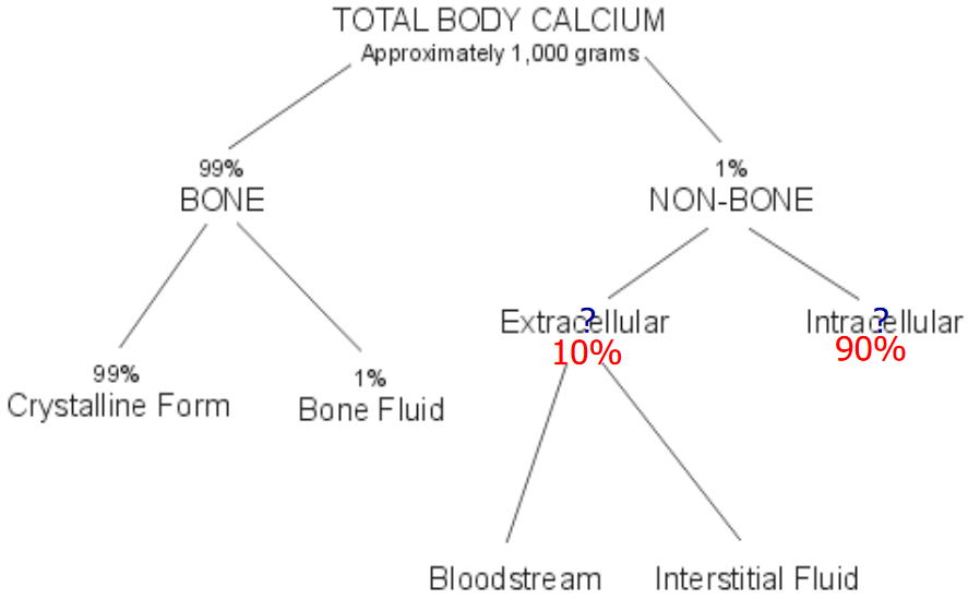 Ca^2+^ Distribution in the Body