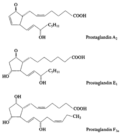 Some Prostaglandins