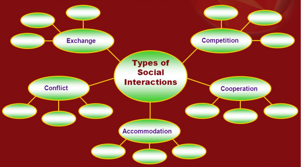 Types of Microbial Interactions