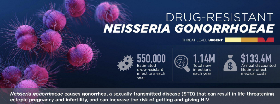 N. gonorrhoeae Infographic
