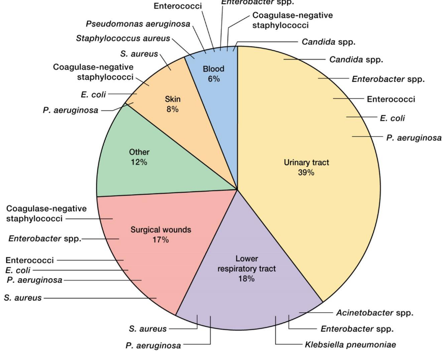 Proportion of Nosocomial Infections and Causative Bacteira