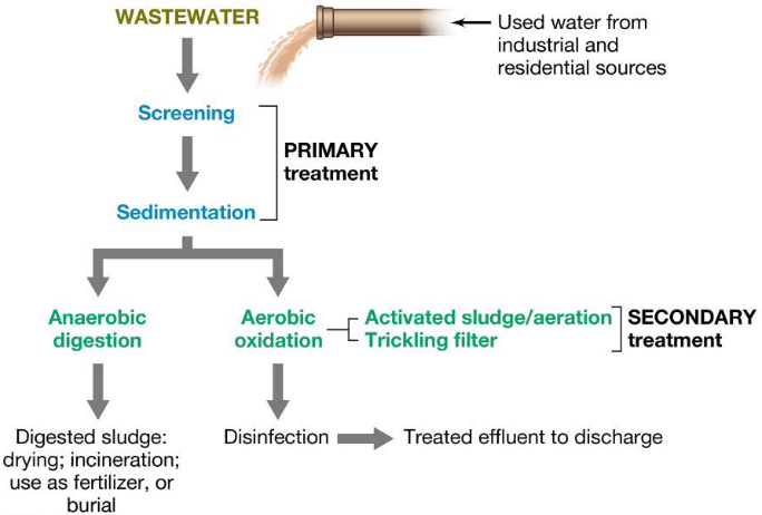 Primary and Secondary Wastewater Treatment