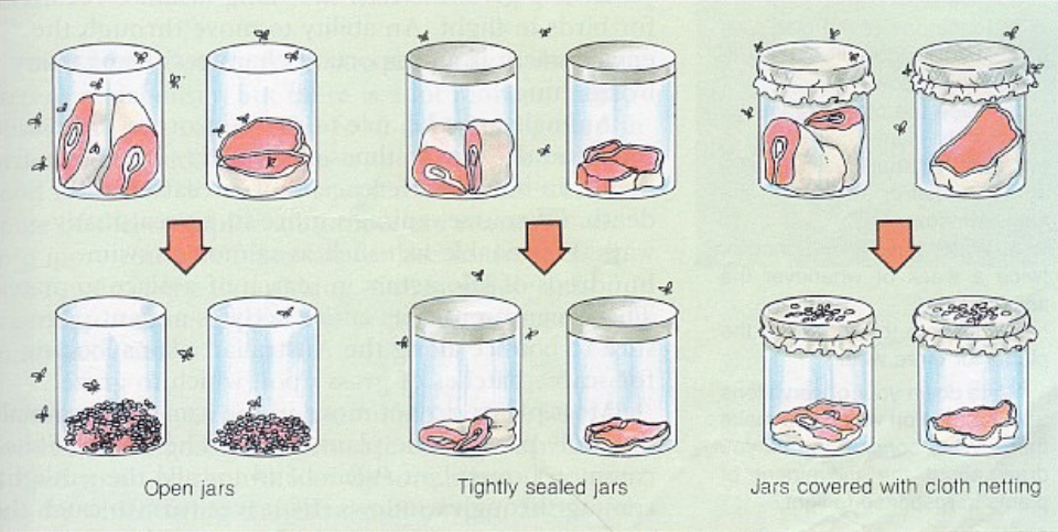 Francesco Redi's Meat Jar Experiment