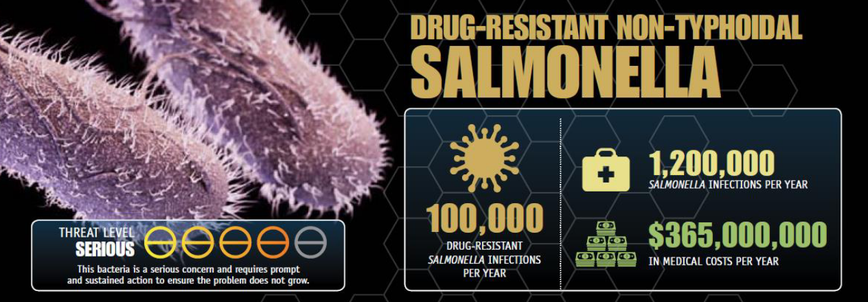 Drug-Resistant, Non-Typhoidal Salmonella