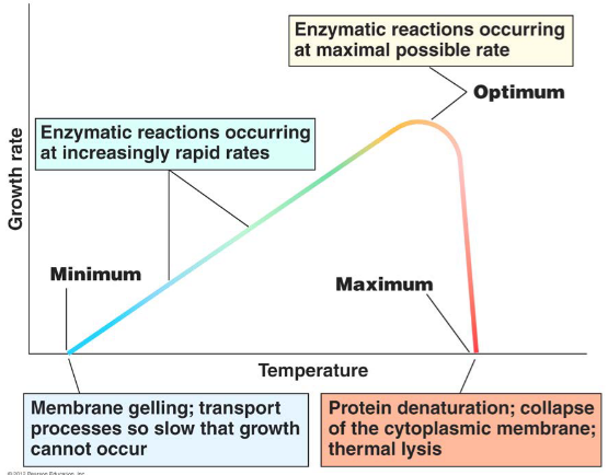 Effects of Temperature on Microbial Survival