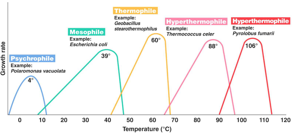 Optimal Growth Temperatures