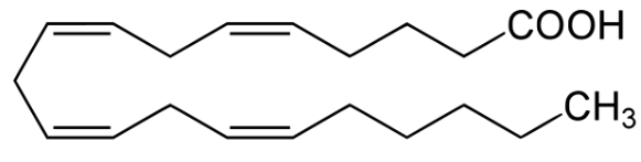 Arachidonic Acid