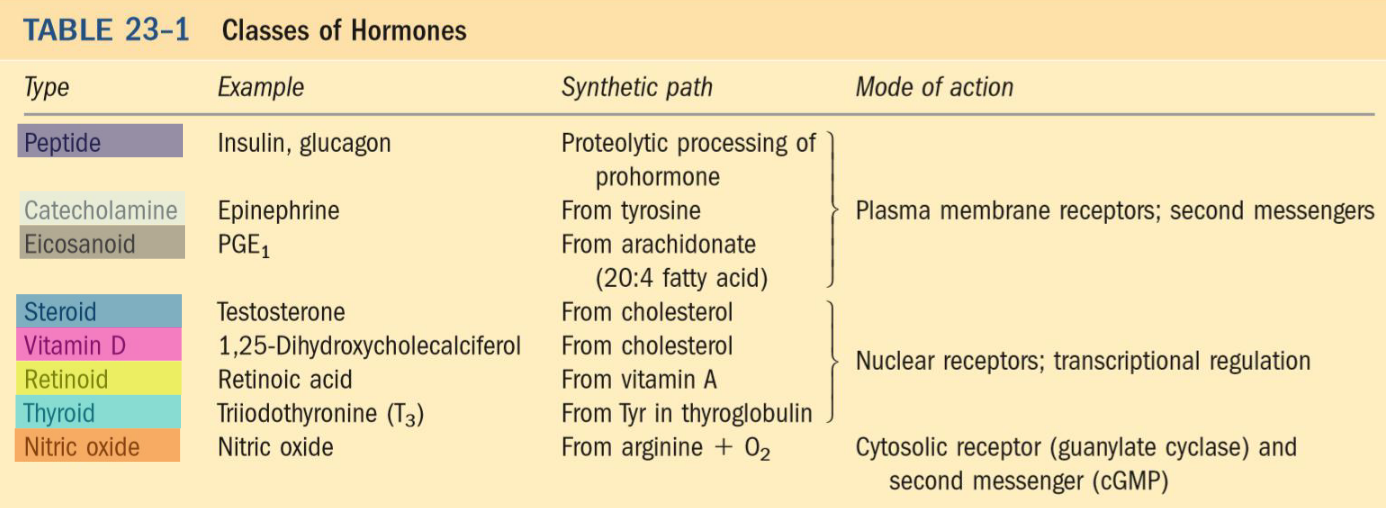 Classes of Hormones and their Modes of Action