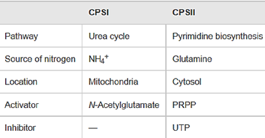 Differences Between CPS-I and CPS-II