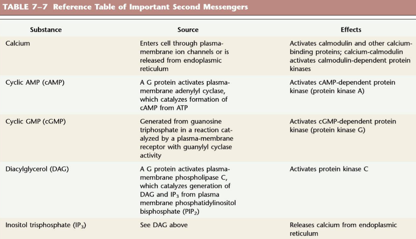 Sources and Effects of Second Messengers