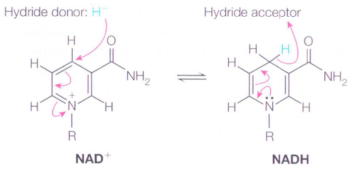 Accepting and Donating Hydride Ions