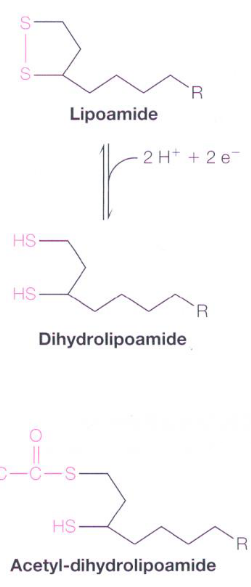 Lipoamide and Dihydrolipoamide
