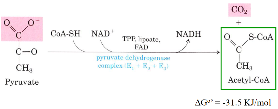 Reaction Catalyzed by PDC