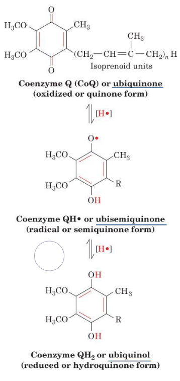 Forms of Ubiquinone