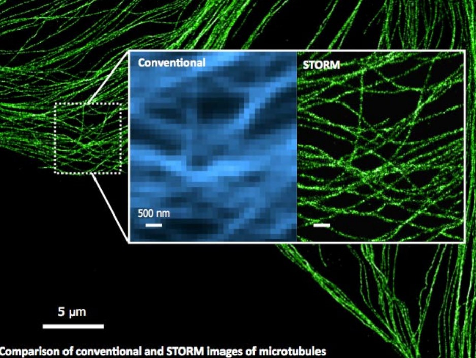 Super-Resolution Microscopy on Microtubules