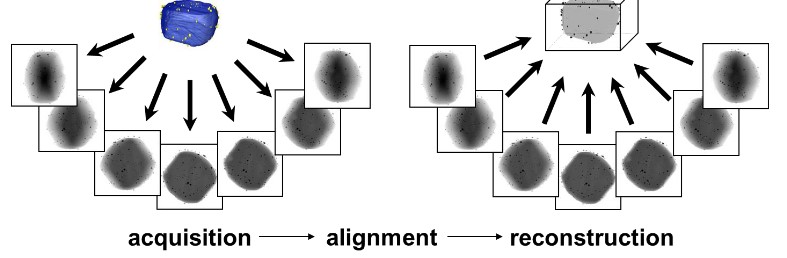 Multiple Images Acquired from a CT Scan