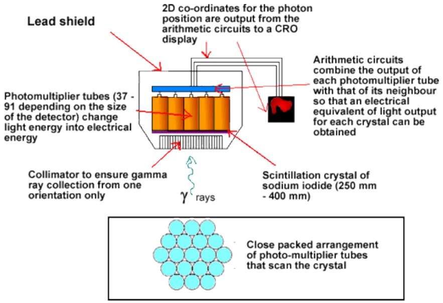 Workings of a Gamma Camera