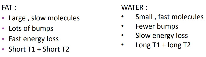 Brownian Motion Differences in Water and in Fat