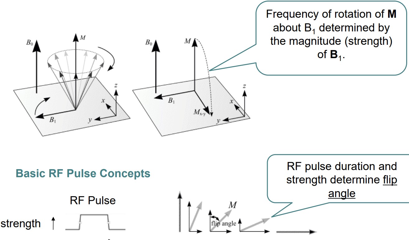 Illustration of Concepts in MRI