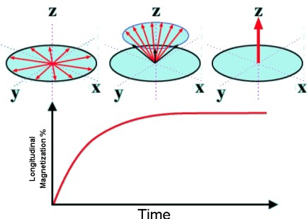 T~1~ Relaxation Graph