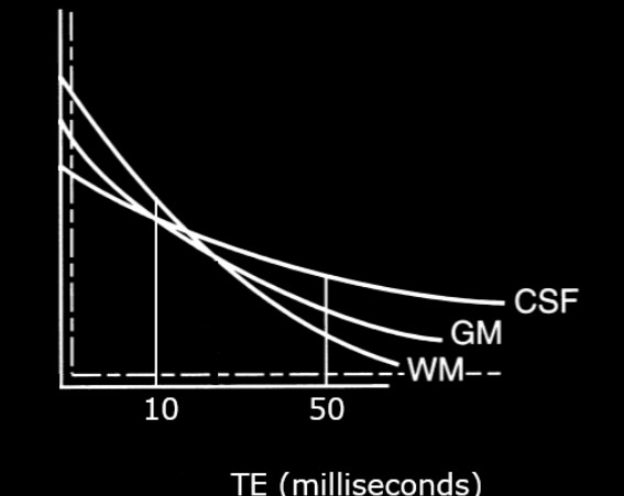 T~2~ Image Weightings