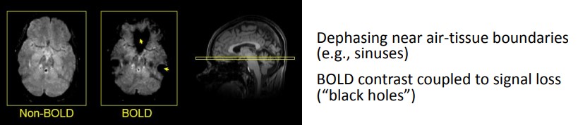 Dephasing in air-tissue boundaries