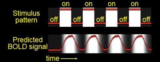 Stimuli in a fMRI Setup