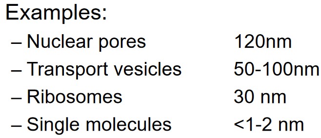 Examples of Diffraction-Limited Objects