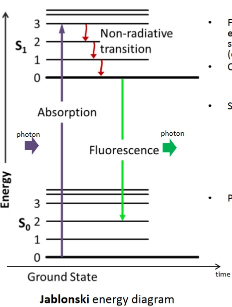 A Jablonski Energy Diagram