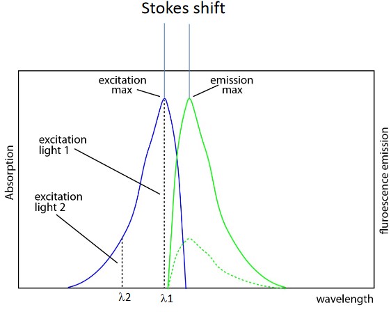 Emission and Absorption Spectra of Fluorescence Microscopy