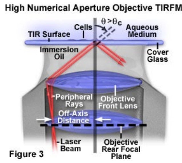 Components of Objective-Based TIRFM