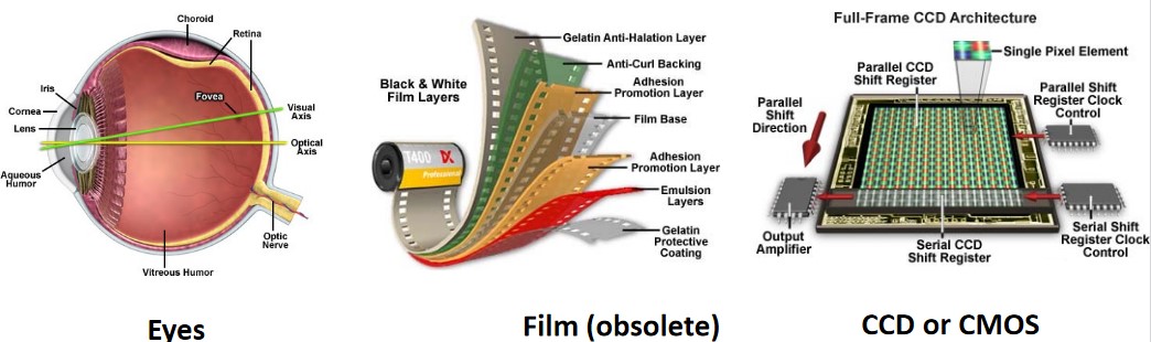 Detectors in Wide-Field Microscopy