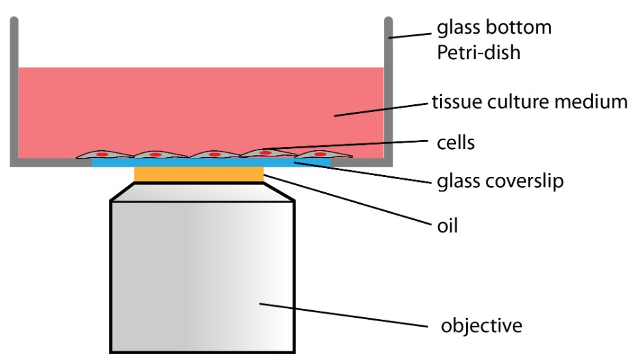 Schematic of a TIRFM