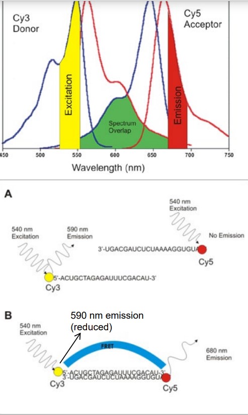 Absorption and Emission Spectrums