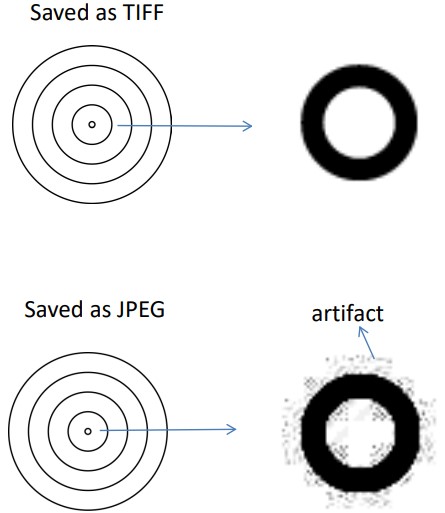 Image Formats and Their Results