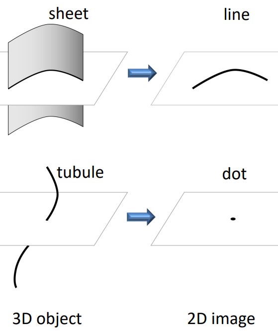 2D Representation of 3D Structures