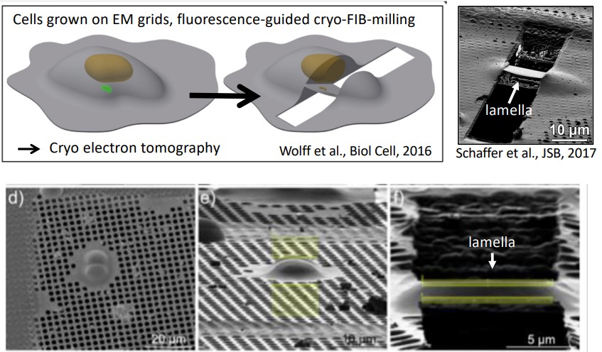 'Windows' for Cryo EM