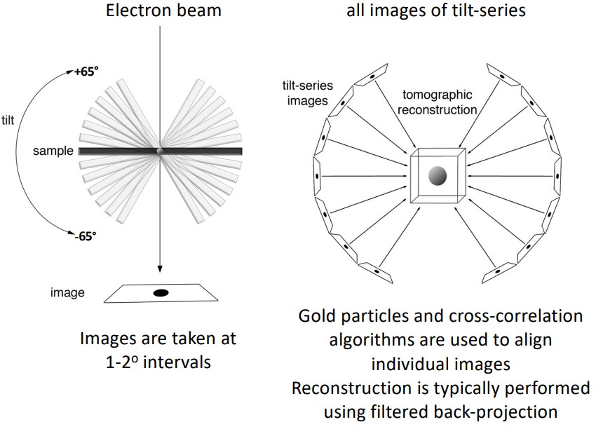 A Tomography Schematic